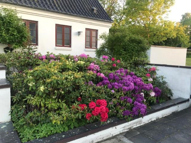 DreamCenter Ballerup Boulevard Exterior foto